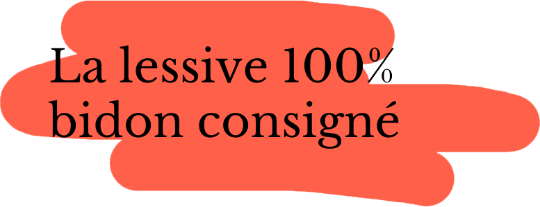 Site web La lessive 100 pour cent